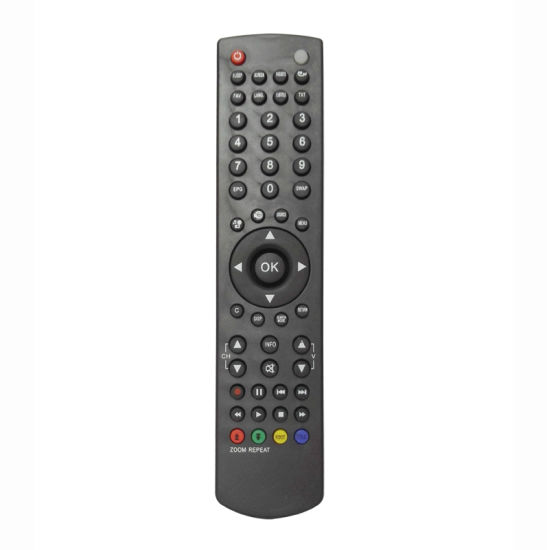 ABS Case Remote Control for TV (RD160902)